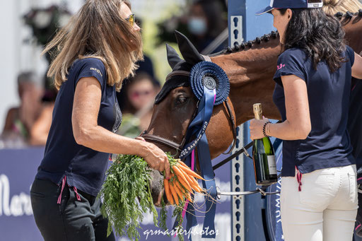 photographe equin Megeve