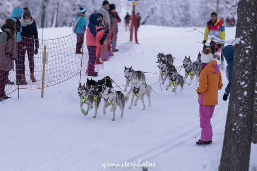 La Grande Odyssée : Peisey-Vallandry 2020