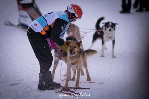 La Grande Odyssée : Peisey-Vallandry 2020