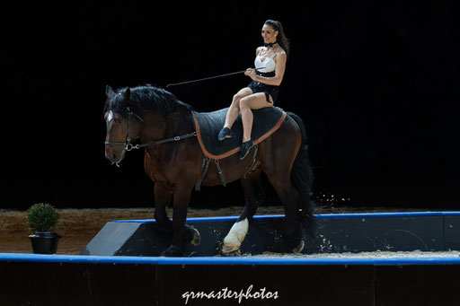 Equita Lyon spectacle equestre