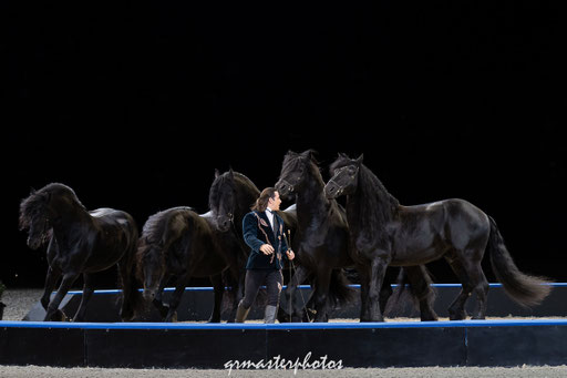 Equita Lyon spectacle equestre