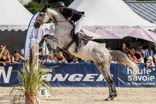 photo equin du Jumping International de Megeve
