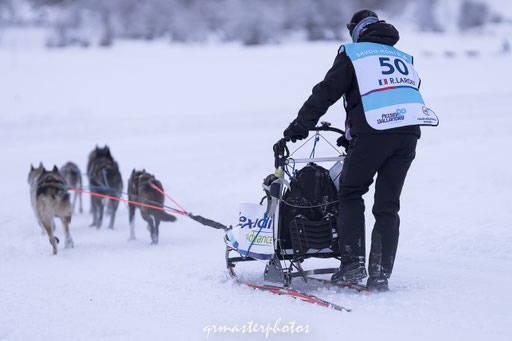 La Grande Odyssée : Peisey-Vallandry 2020
