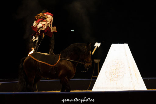 Equita Lyon spectacle equestre
