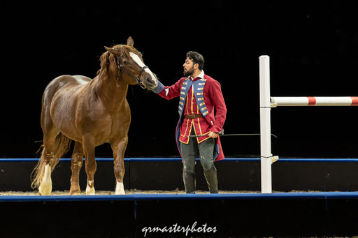 Equita Lyon spectacle equestre
