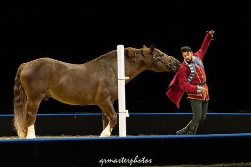 Equita Lyon spectacle equestre