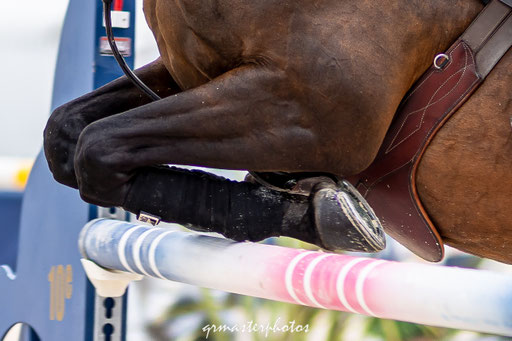 photo equin du Jumping International de Megeve
