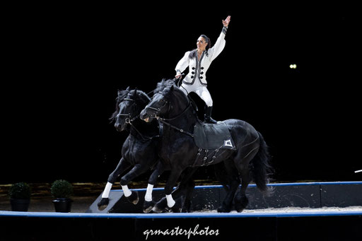 Equita Lyon spectacle equestre