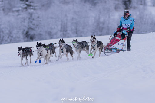 La Grande Odyssée : Peisey-Vallandry 2020