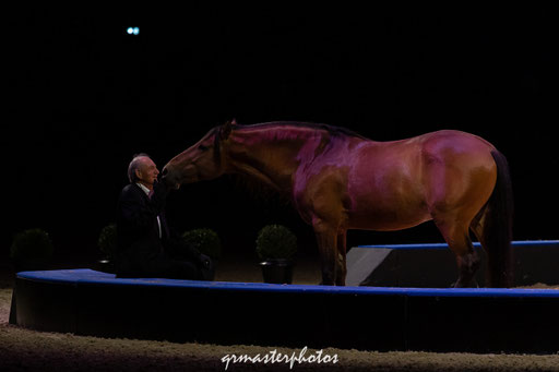 Equita Lyon spectacle equestre