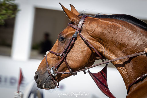 Hubside Jumping - Grimaud Golfe de St-Tropez 2020