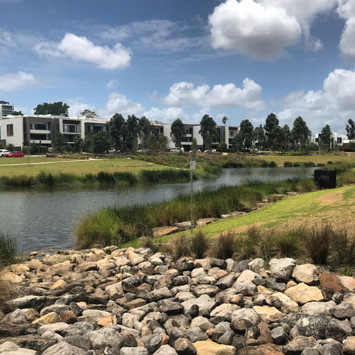 80/2018: Putney's hidden pond. A relaxing spot for lunch