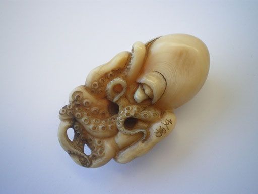 Octopus Back / Sperm Whale Tooth/NFS