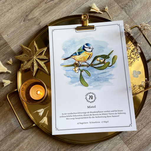 perpetual watercolor watercolour painting art Quiz Advent calendar | Ewiger Aquarell Kunst Kunstkalender Kalender Adventskalender | Sandra Mahn