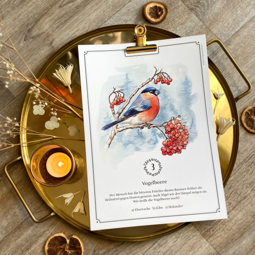 perpetual watercolor watercolour painting art Quiz Advent calendar | Ewiger Aquarell Kunst Kunstkalender Kalender Adventskalender | Sandra Mahn