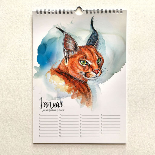 perpetual watercolor painting art birthday calendar Big Cats caracal | Ewiger Aquarell Kunst Kunstkalender Kalender Geburtstagskalender Raubkatzen Karakal | Sandra Mahn