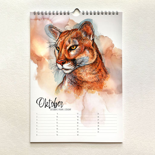 perpetual watercolor painting calendar Big Cats • mountain lion | Ewiger Aquarell Kalender Raubkatzen • Puma | Sandra Mahn