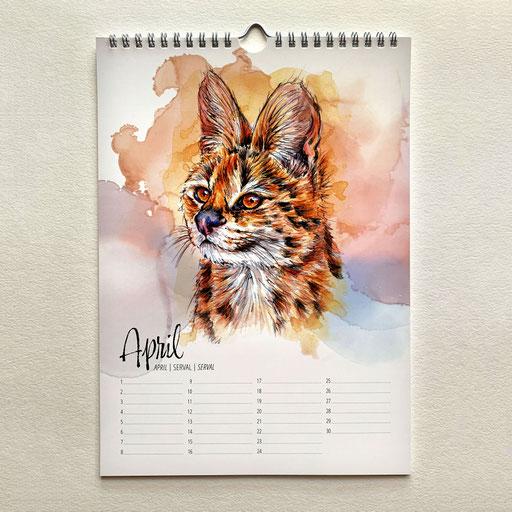 perpetual watercolor painting art birthday calendar Big Cats serval | Ewiger Aquarell Kunst Kunstkalender Kalender Geburtstagskalender Raubkatzen Serval | Sandra Mahn