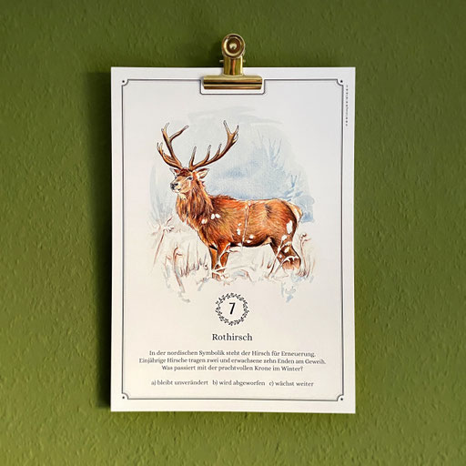 perpetual watercolor watercolour painting art Quiz Advent calendar | Ewiger Aquarell Kunst Kunstkalender Kalender Adventskalender | Sandra Mahn