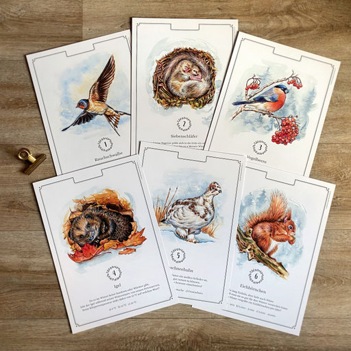 perpetual watercolor watercolour painting art Quiz Advent calendar | Ewiger Aquarell Kunst Kunstkalender Kalender Adventskalender | Sandra Mahn