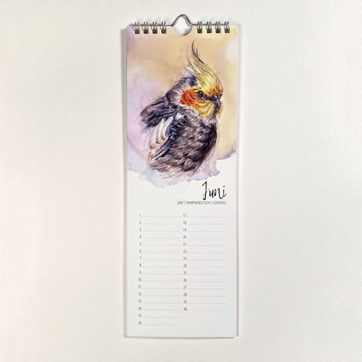 perpetual watercolor painting art birthday calendar Exotic Birds cockatiel | Ewiger Aquarell Kunst Kunstkalender Kalender Geburtstagskalender Exotische Vögel Nymphensittich – Sandra Mahn