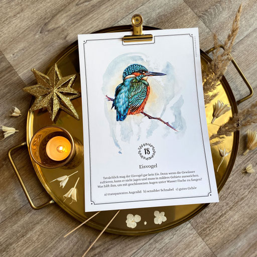 perpetual watercolor watercolour painting art Quiz Advent calendar | Ewiger Aquarell Kunst Kunstkalender Kalender Adventskalender | Sandra Mahn