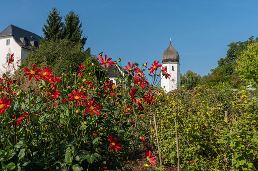 Klostergarten, im Hintergrund der Glockenturm 