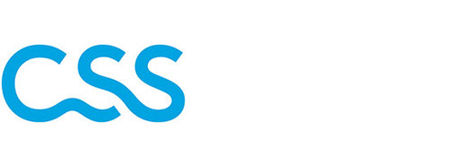 CSS