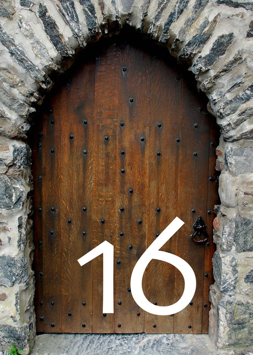 16. Dezember, Maria durch ein Dornwald ging (Instrumental)