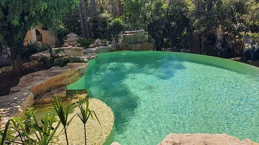 piscine naturelle