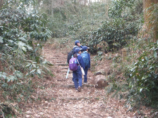 入選「しぜんの中を歩く3組」/奥野晴紀/川崎第43団 カブスカウト