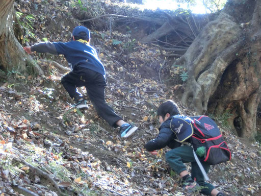 入選「かけぬけるボーイスカウト」/鈴木結心/海老名第３団 カブスカウト
