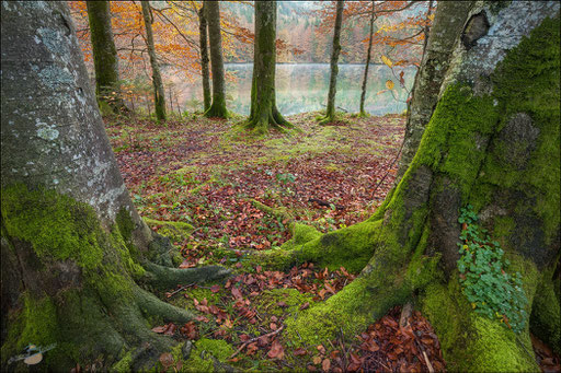 Herbst in Oberösterreich