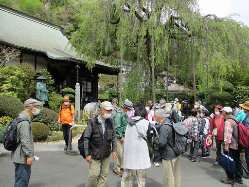 金南寺(こんなんじ)　　本堂の前には象の親子の石像が安置されていました。  　枝垂れ桜で有名な寺院。