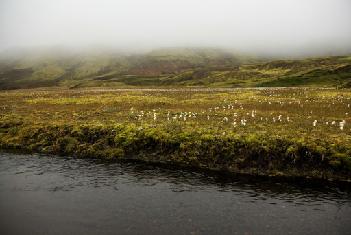 Nebel-Wasser-Island-J558