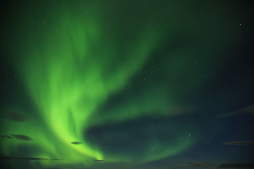 Polarlichter-Aurora-borealis-Island-J748