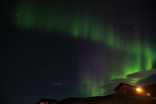 Polarlichter-Aurora-borealis-Island-Reisefotograf-J777