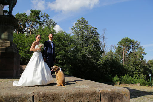 Heiraten-Hochzeit-Hochzeitsfotograf-M345