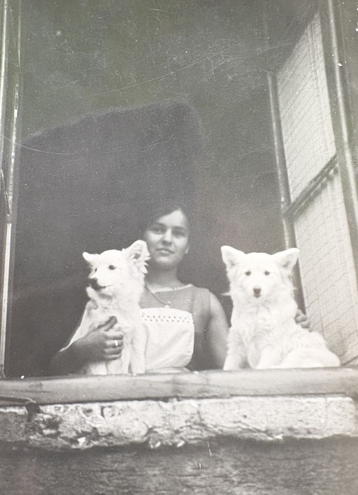 Hübsche junge Dame mit zwei weißen Großspitzen am Fenster, vintage Foto
