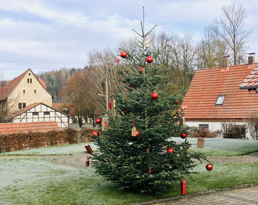 Weihnachtsbaum auf dem Vorplatz vom DGH.