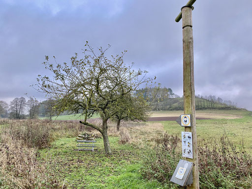 An der Steinhaufen Bank vom Familienpfad Point India auf dem Weg zum Grünen Band.