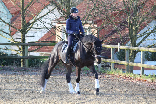 Julia und Lucky