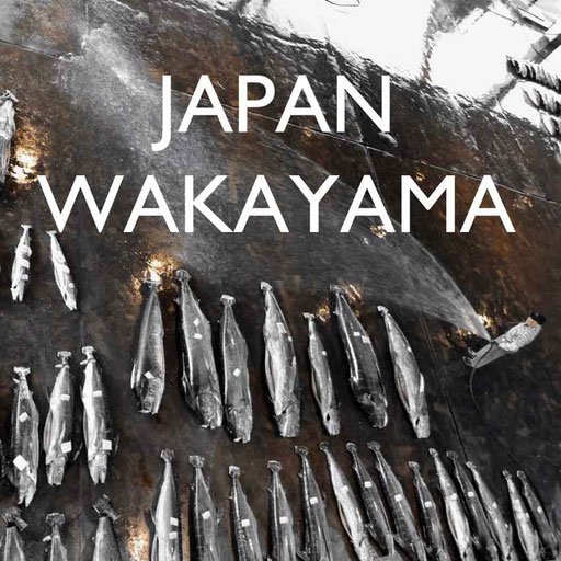 Reisebericht Japan Wakayama Reiseblog