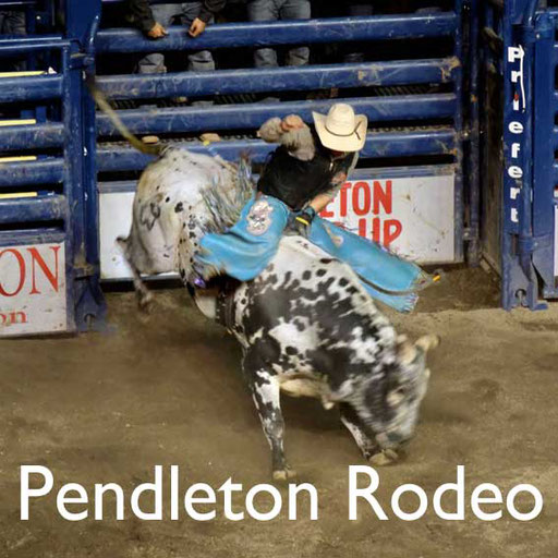 Pendleton Rodeo USA Reisebericht Reiseblog
