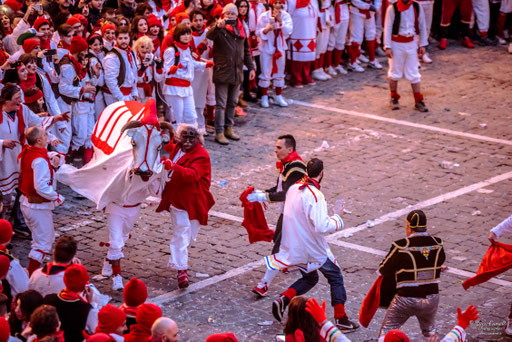 Storie Di Un Attimo • Festival Popolare Della Fotografia 2024 ~ Carnevale Storico di Offida • Bove Finto. © Luca Cameli Photographer
