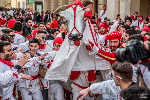 Storie Di Un Attimo • Festival Popolare Della Fotografia 2024 ~ Carnevale Storico di Offida • Bove Finto. © Luca Cameli Photographer