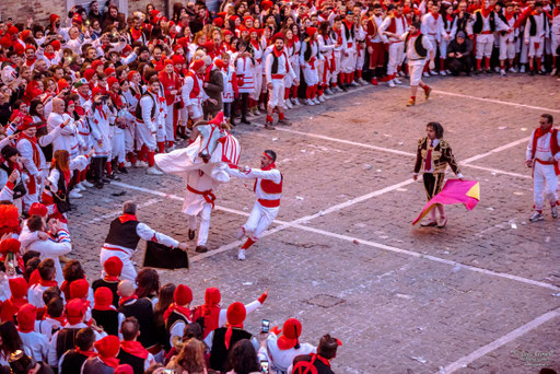 Storie Di Un Attimo • Festival Popolare Della Fotografia 2024 ~ Carnevale Storico di Offida • Bove Finto. © Luca Cameli Photographer