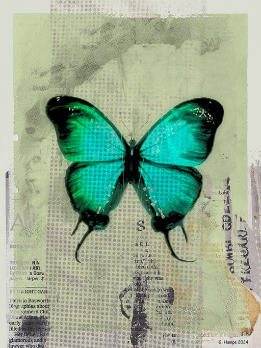 The turquoise butterfly