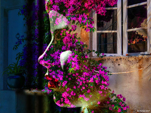 The woman with the bougainvillea