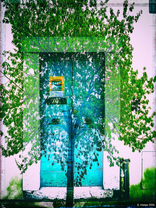 The green tree and the turquoise door